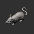 mouse13.jpg Mouse 3D print model