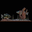 bass-R-5.png two bass scenery in underwather for 3d print detailed texture