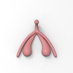clitoris R1.jpg Fichier STL Clitoris Anatomique・Design imprimable en 3D à télécharger