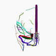 1.png DURAL VENOUS SINUS SEGMENTED MODEL