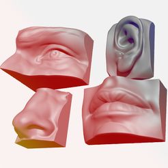 Flyer.jpg ANATOMY PACK - FACE PARTS