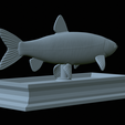 Grass-carp-statue-30.png fish grass carp / Ctenopharyngodon idella statue detailed texture for 3d printing