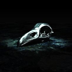 Raven-Skull-2.jpg STL file Realistic Raven Skull・3D printer model to download