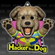 1.jpg Hacker, o cão