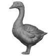 3D-Print-Ready-Goose-03.jpg Гусь Утка 3D печать модели