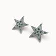 foto-arete-estrella-1-4.jpg star earrings