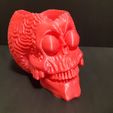 20240205_190149.jpg Martian Skull Planter - With or without drainage