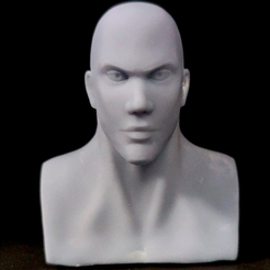 STL file GAROU COSMIC FEAR 🤴・3D printing design to download・Cults
