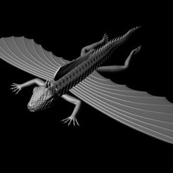 Letun-1.jpg STL file The flying lizard・3D printer design to download