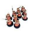 Custom_SoS_Black_Fleet_Guard_Painted_5.jpg CUSTOM SISTERS OF SILENCE - CASSOWARY (GUARD)