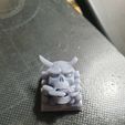 z5122860708467_2d7a800648bdcd457cc7e1297c68ad1b.jpg Muted Oni Skull Keycap