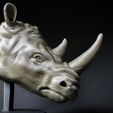 20210503_113924.jpg Rhinoceros