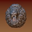 4.jpg Lion head