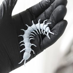 _DSC6994.jpg STL file Halloween flexible centipede caterpillar, quickest print: 40 min, print-in-place・Design to download and 3D print