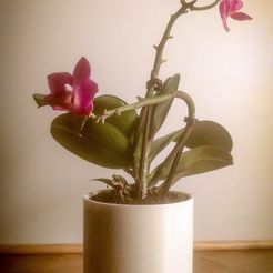 pot_de_fleur1.jpg Archivo STL gratis Maceta・Modelo para descargar y imprimir en 3D