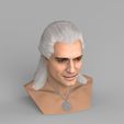 untitled.1732.jpg Geralt of Rivia The Witcher Cavill bust full color 3D printing