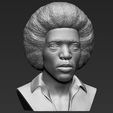 11.jpg Jimi Hendrix bust 3D printing ready stl obj