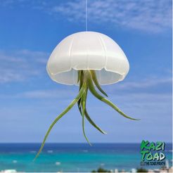 Jelly_KaziToad.jpg Free STL file Jellyfish air plant holder・3D printer model to download