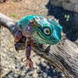 Bearded Dragon Articulated Toy, Print-In-Place Body, Snap-Fit Head, Cute Flexi