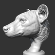 05.png Hyena Head AM14 3D print model