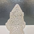 unnamed-2.jpg Voronoi MakerBot Gnome