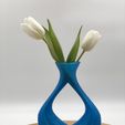 IMG_8521.JPG Special Vase