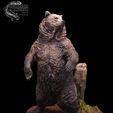 COVER.jpg Grizzly Bear and Scenic Base Presupported