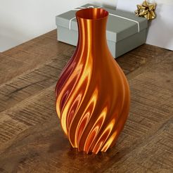 IMG_2174.jpeg Vase