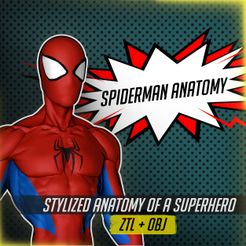 Spiderman Anatomy square.jpg Spiderman Anatomy