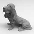 perro-2.jpg Bloodhound