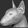 12.jpg Bull Terrier dog for 3D printing