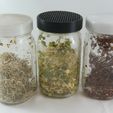 sprout_jars.jpg Sprout Growing Mason Jar Strainer