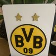 IMG_2986.jpeg BVB logo with stand