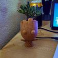 WhatsApp-Image-2023-08-25-at-5.26.40-PM.jpeg Baby Groot Planter