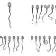 Wire-1.png Sperm Morphology: Normal and Abnormal
