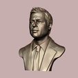 17.jpg Brad Pitt portrait sculpture