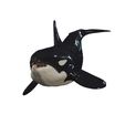 G0099.jpg ORCA Killer Whale Dolphin FISH sea CREATURE 3D ANIMATED RIGGED MODEL