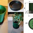 Imagem-WhatsApp-2024-04-14-às-20.55.30_75b6ed8c.jpg Vase with water collection base