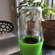 IMG_2409.jpg Mini greenhouse pot