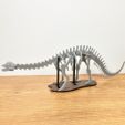 bronto_pic6.jpg [3Dino Puzzle] Brontosaurus(Classic Apatosaurus)