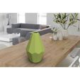 f4addce9c11a133d39d63ca1a97bc8b4_preview_featured.jpg Soliflore vase "cut