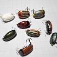 Beetle-fishing-lure-7.jpg Beetle fishing lure