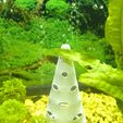 IMG_20251205_212714070.jpg 🐟 Uno sguardo alla Grotta del Cono