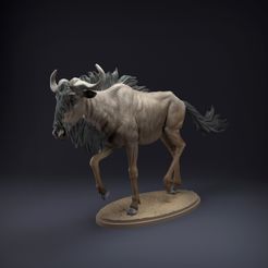 Wildebest_1.jpg STL-Datei Wildebeest・Modell zum Herunterladen und 3D-Drucken, AnimalDenMiniatures