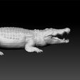 cr1.jpg Crocodile - Crocodilefor game - unity 3d - ue5- Crocodile toy