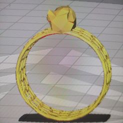 IMG_20231116_144211.jpg Voronoi Cat Ring