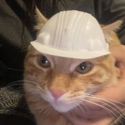 cat-helmet.jpg Safety Cat Helmet -