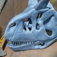 20241114_202201.jpg Череп карнотавра 30 см 3d печать 3d модель