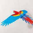 IMG_20240621_163733134.jpg Flying Macaw