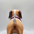 Dog-Saint-Bernard-peinturer-vue-derriere-1.jpg Saint Bernard dog with barrel